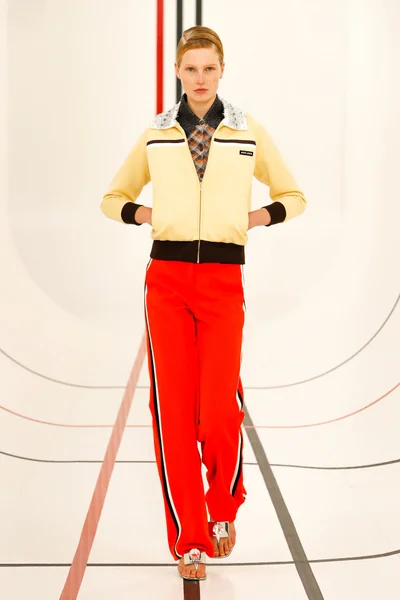 Look 29